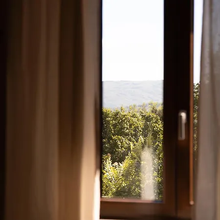 Tirituffo - Di Campagna * Soveria Mannelli